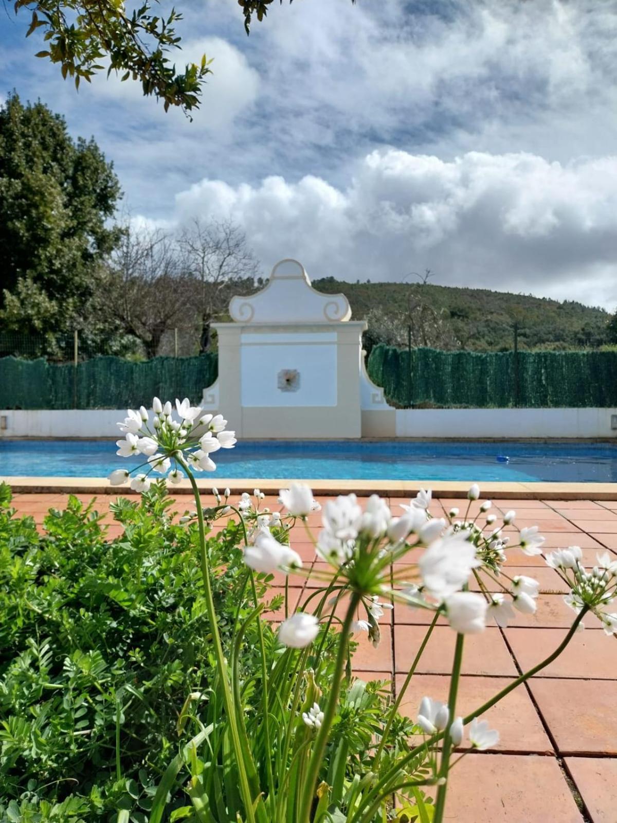 Casa Do Ginjal By Naturalegre Marvao  Exterior photo